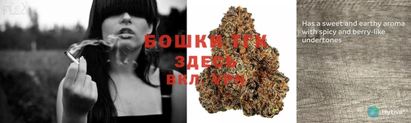 дурь Белокуриха