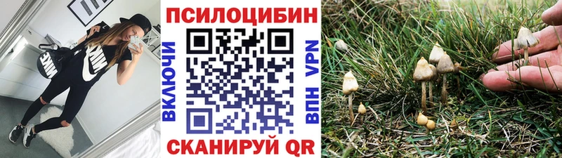 Галлюциногенные грибы GOLDEN TEACHER  что такое наркотик  Чехов 